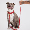 Moshiqa Balley Leather Dog Leash (Red) - Kohepets