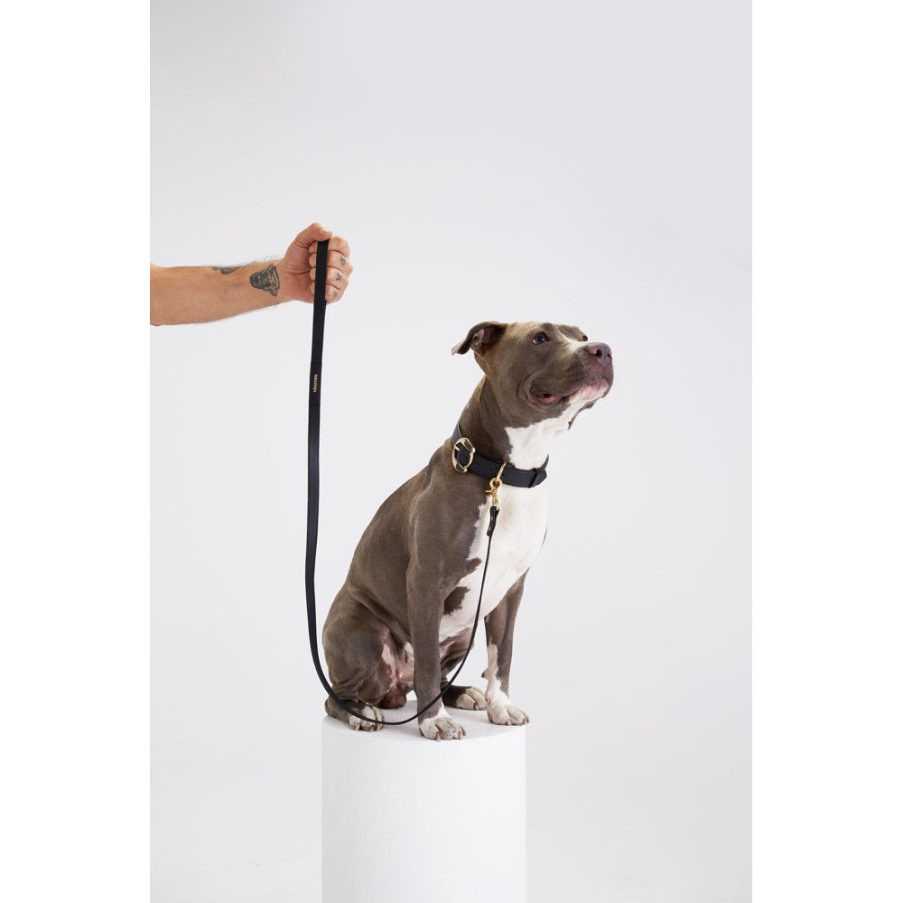 Moshiqa Balley Leather Dog Leash (Black) | Kohepets