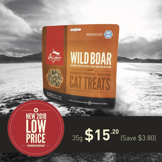 ORIJEN Wild Boar Freeze Dried Cat Treats 35g - Kohepets