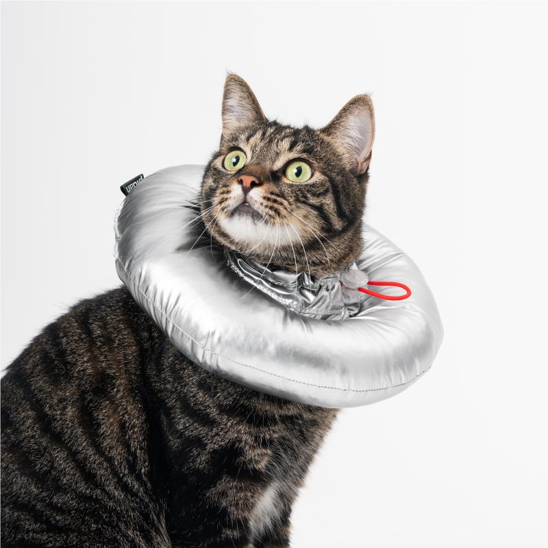 Pidan Space E-Collar For Cats & Dogs - Kohepets