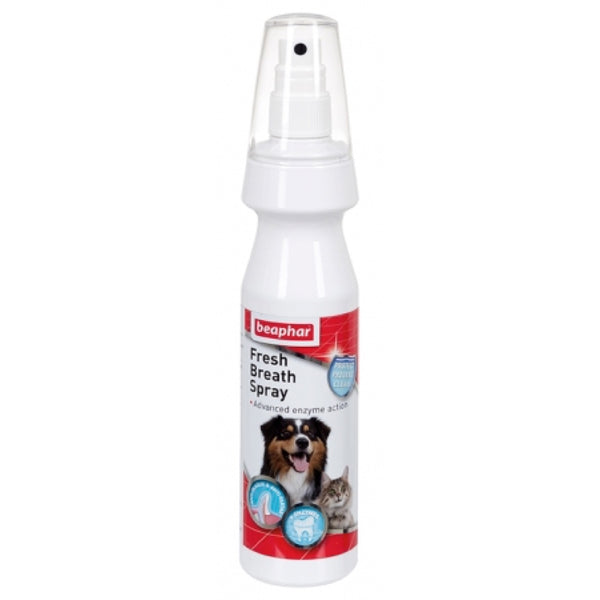 Beaphar Fresh Breath Spray For Cats Dogs 150ml Kohepets