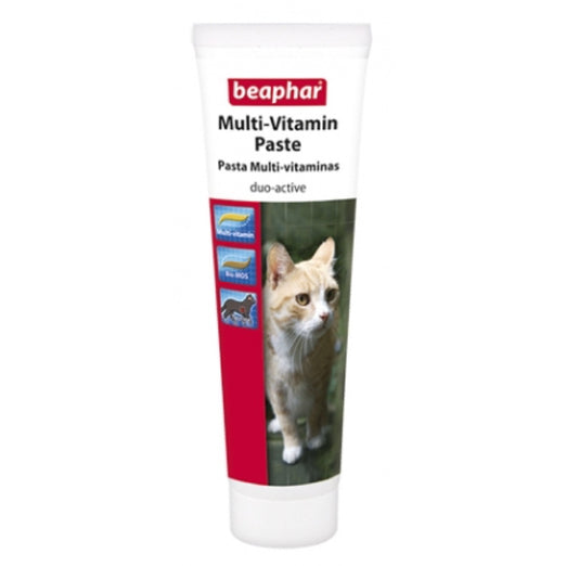 Beaphar Multi Vitamin Paste For Cats 100g - Kohepets