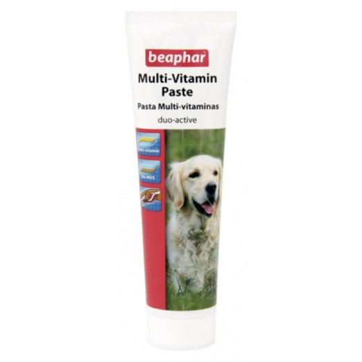 Beaphar Multi Vitamins Duo Active Paste For Dogs 100g - Kohepets