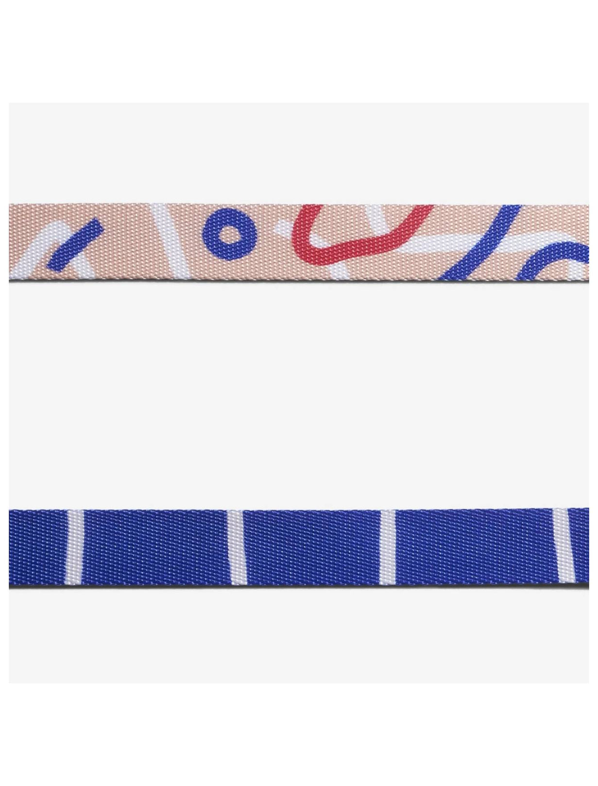 Zee.Cat Cat Collar (Pinna) - Kohepets