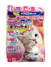 CattyMan Salmon Flavored Ice Pop DIY Set for Cat 140g (Exp Nov 22)