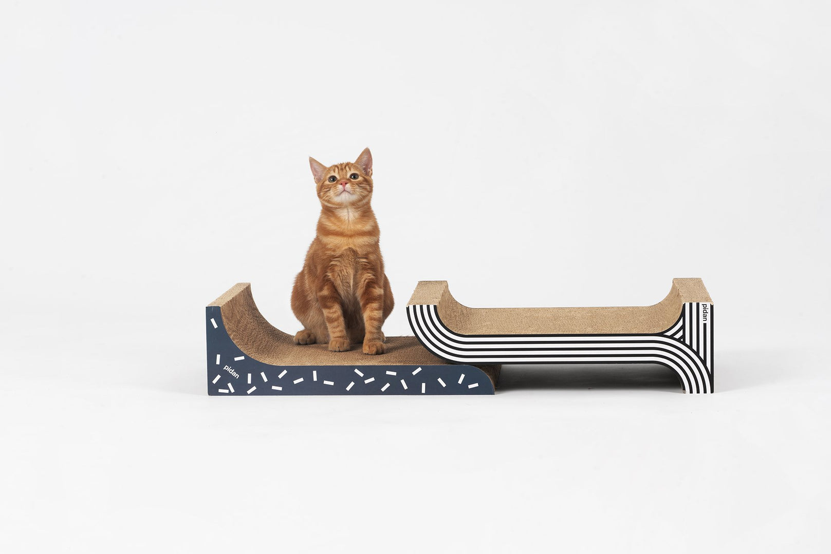 Pidan 2 + 1 Cat Scratcher - Kohepets