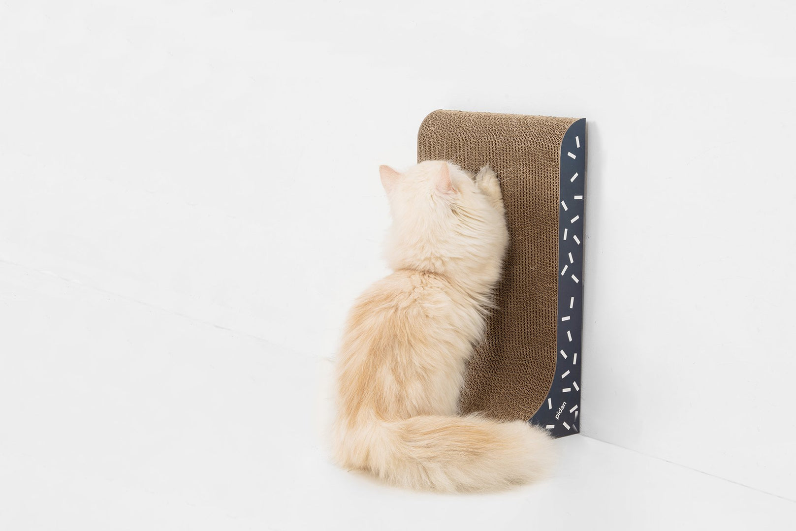 Pidan 2 + 1 Cat Scratcher - Kohepets
