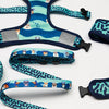 Moo+Twig Bark Shark Reversible Dog Harness - Kohepets