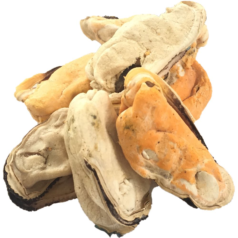 Freeze Dry Australia Green Lip Mussels Cat & Dog Treats 70g - Kohepets