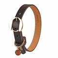 Moshiqa Hachiko Leather Dog Collar (Brown) - Kohepets