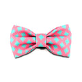 HiDREAM Profusion Bowtie for Cats & Dogs (Bobby) - Kohepets
