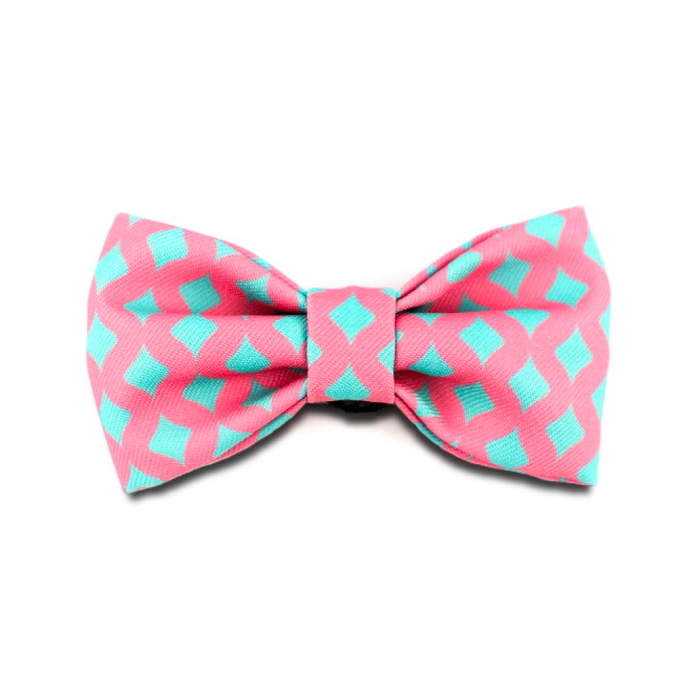 HiDREAM Profusion Bowtie for Cats & Dogs (Bobby) - Kohepets