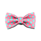 HiDREAM Profusion Bowtie for Cats & Dogs (Bobby)