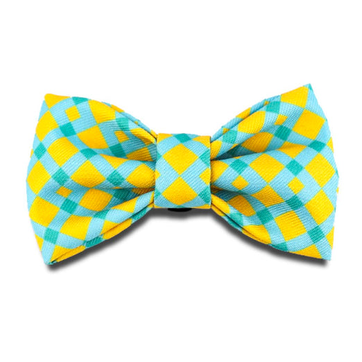HiDREAM Profusion Bowtie for Cats & Dogs (Sunrise) - Kohepets