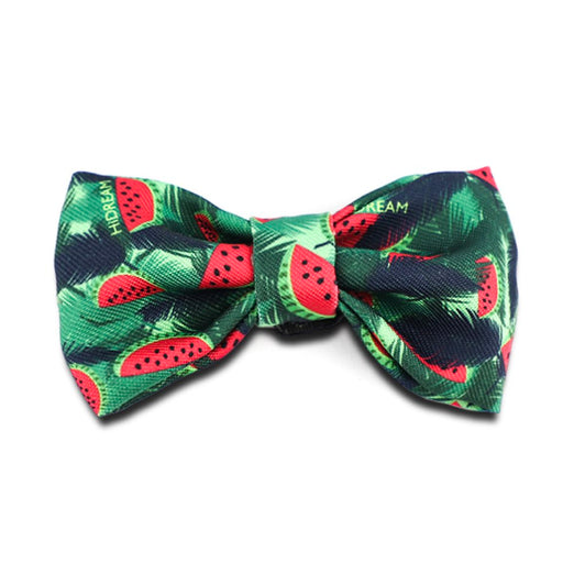 HiDREAM Profusion Bowtie for Cats & Dogs (Watermelon) - Kohepets
