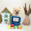 10% OFF: Hey Cuzzies Hide N Seek Game Pup Interactive Dog Toy - Kohepets