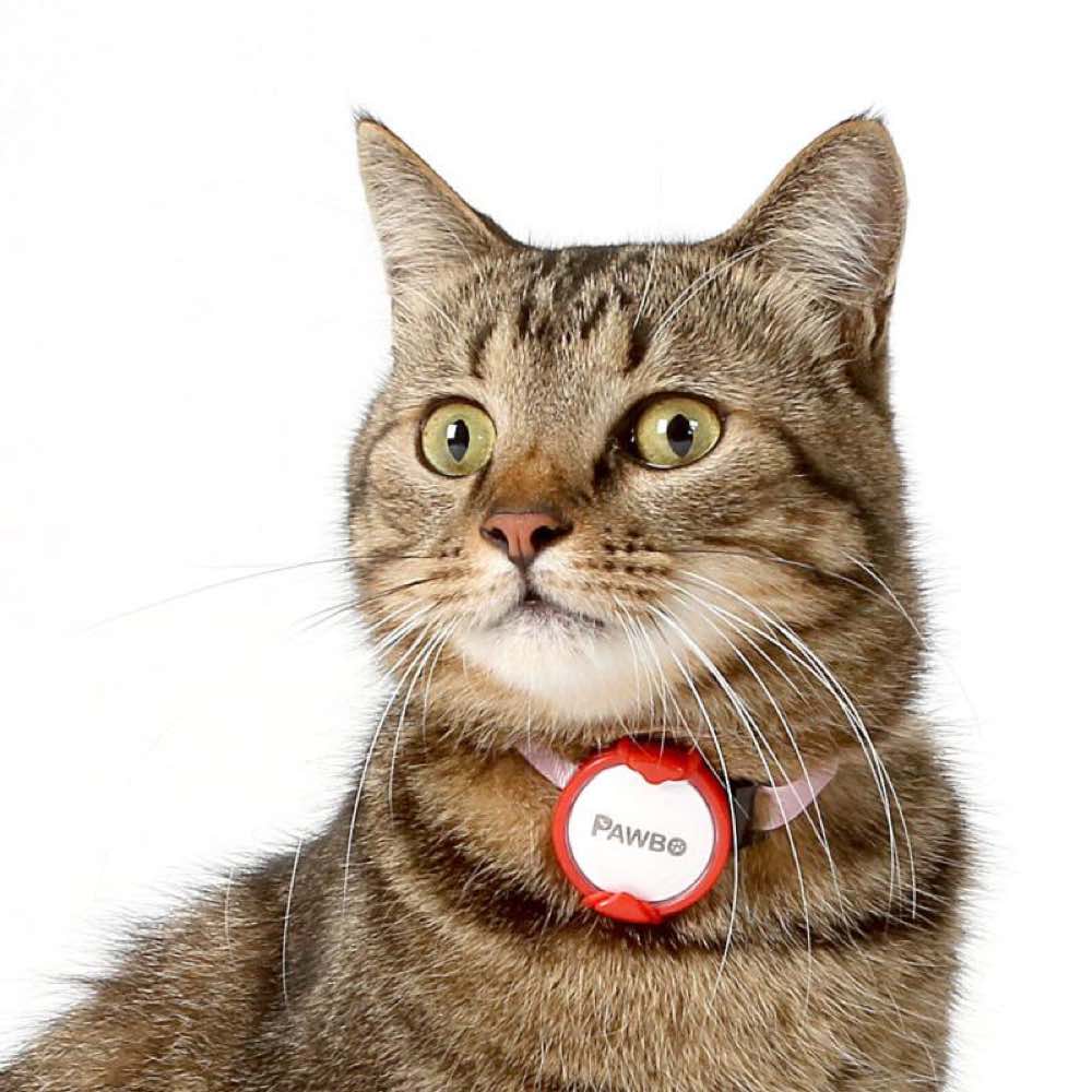 Pawbo iPuppyGo Smart Pet Activity Tracker Tag - Kohepets