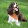 Insect Shield Dogs & Bones Flea & Tick Bandana For Dogs (Orange) - Kohepets