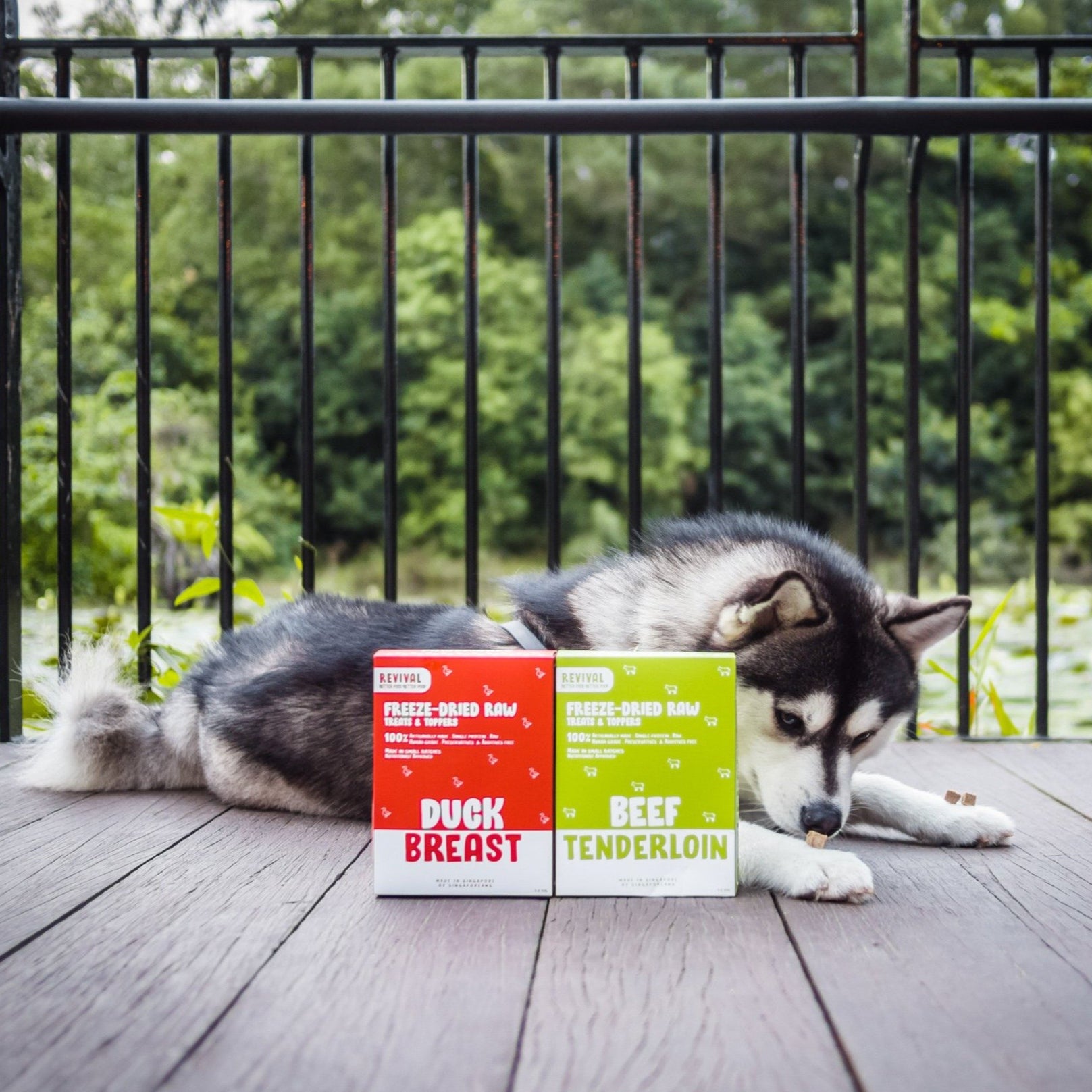 Revival Duck Breast Freeze-Dried Raw Treats For Cats & Dogs 50g - Kohepets