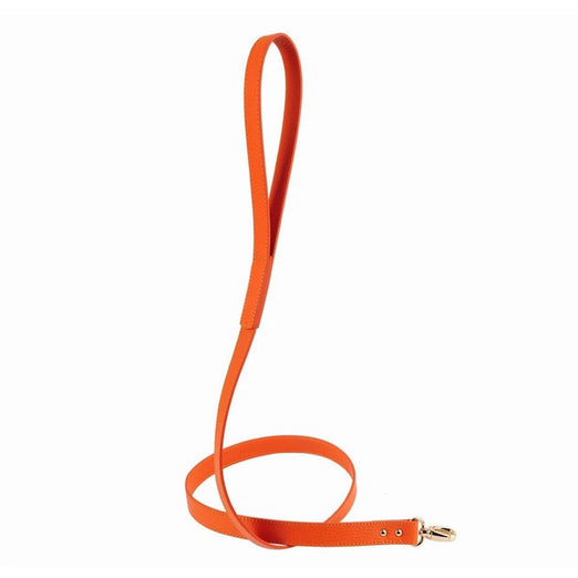 Moshiqa Balley Leather Dog Leash (Orange) - Kohepets