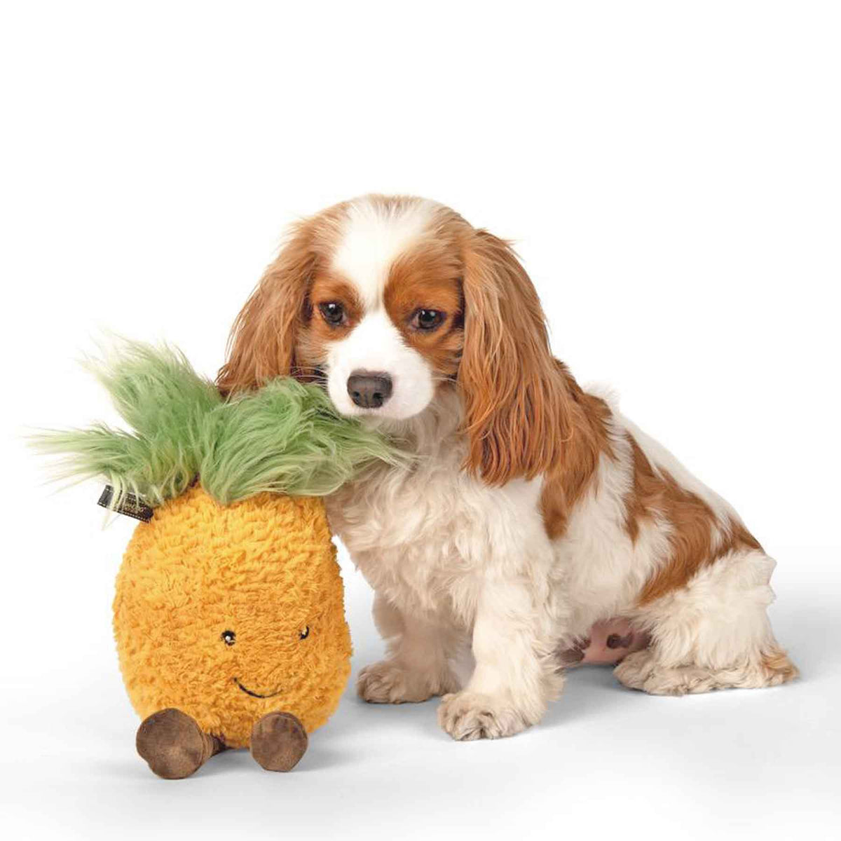 Nandog My BFF Pineapple Squeaker Plush Dog Toy Kohepets