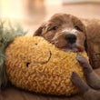 Nandog My BFF Pineapple Squeaker Plush Dog Toy - Kohepets
