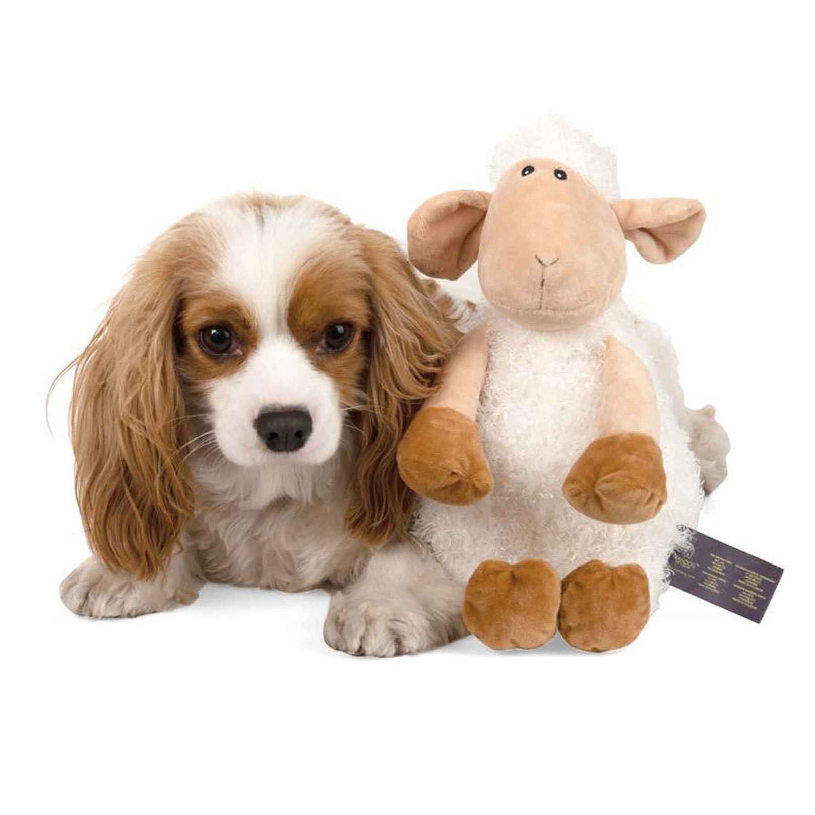 Nandog My BFF Sheep Squeaker Plush Dog Toy - Kohepets