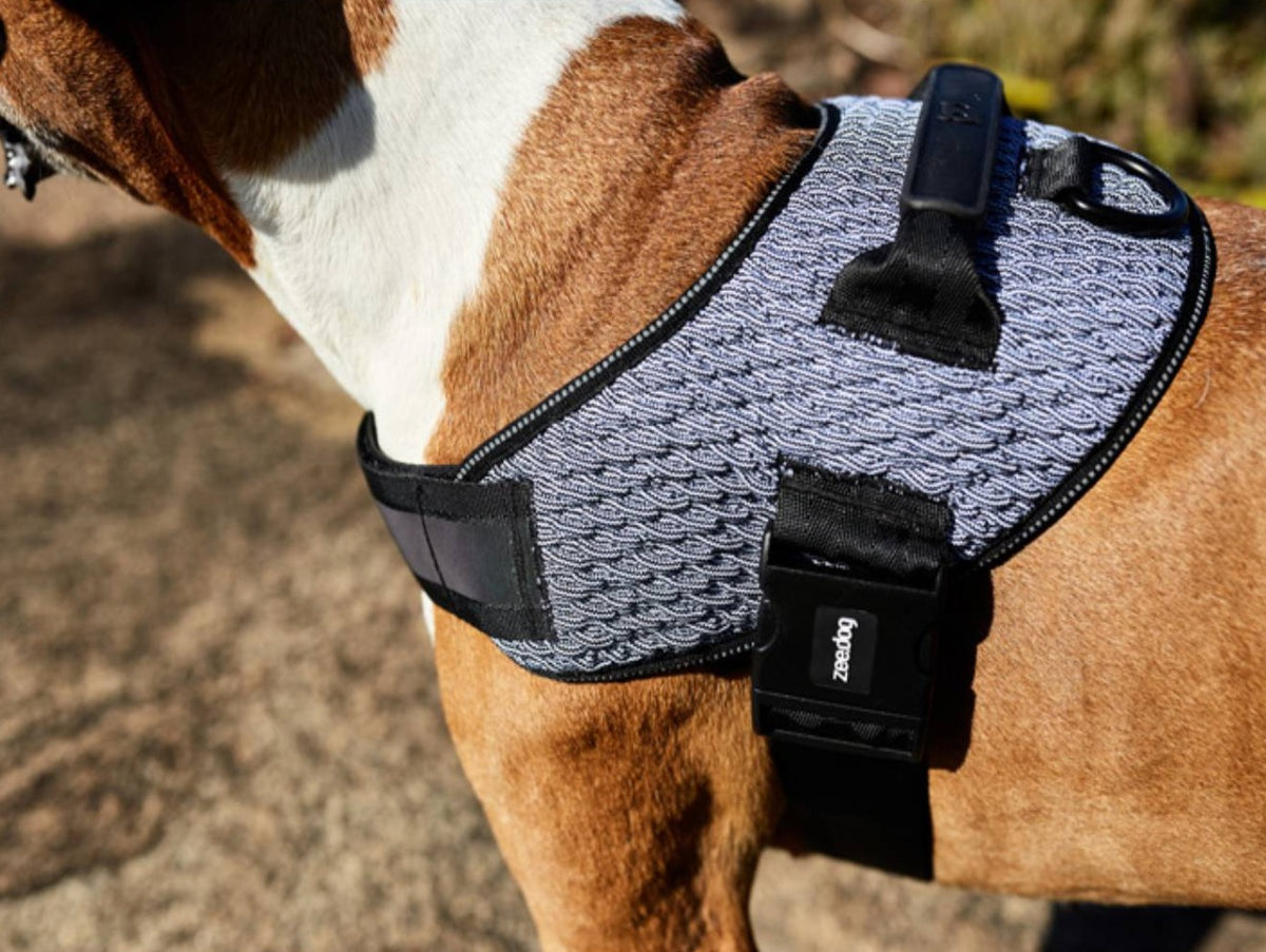 Zee.Dog Urban Fly Harness Kohepets
