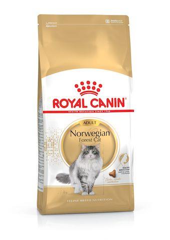 Royal Canin Norwegian Forest Cat Adult 2kg - Kohepets