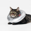 Pidan Space E-Collar For Cats & Dogs - Kohepets