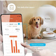 Pawbo Crunchy Smart Pet Food Dispenser - Kohepets