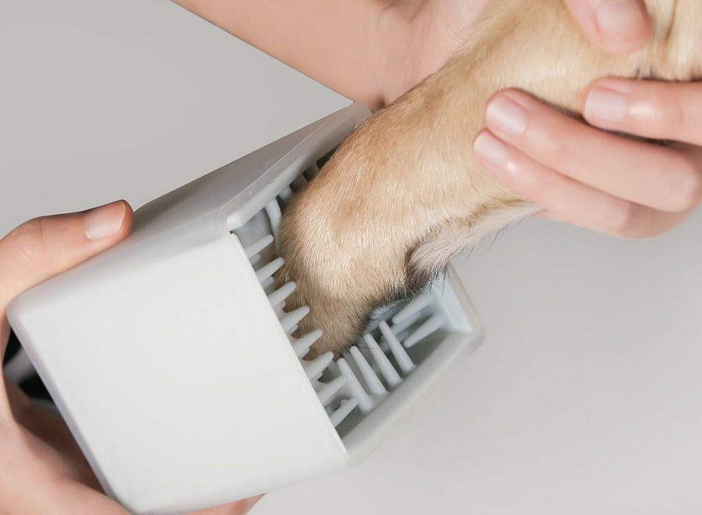 Pidan Paw Cleaning Cup - Kohepets