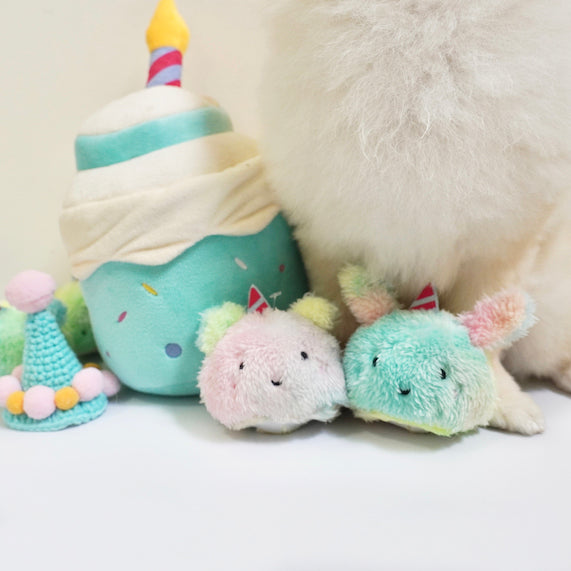 Hey Cuzzies Hide N Seek Birthday Cake Interactive Dog Toy