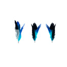 Pidan Teaser Cat Wand Toy Feather Refills (3-pack)