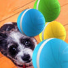 Wickedball Interactive Pet Toy - Kohepets