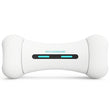 Wickedbone  Smart & Interactive Dog Chewing Toy - Kohepets