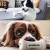Wickedbone  Smart & Interactive Dog Chewing Toy - Kohepets