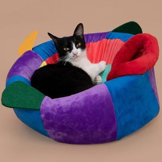 Pidan Pufferfish Pet Bed - Kohepets