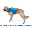 Ruffwear Float Coat Dog Life Jacket (Blue Dusk) - Kohepets