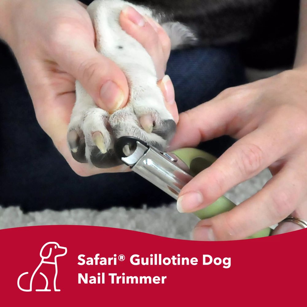 Safari Stainless Steel Guillotine Dog Nail Trimmer Small Kohepets