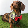 Moo+Twig Borneo Bliss Dog Shirt Harness - Kohepets