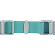 Ruffwear Confluence Reflective Waterproof Dog Collar (Aurora Teal) - Kohepets