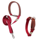 BUNDLE DEAL: Sputnik Nylon Dog Collar + Multifunctional Leash Set (Red)