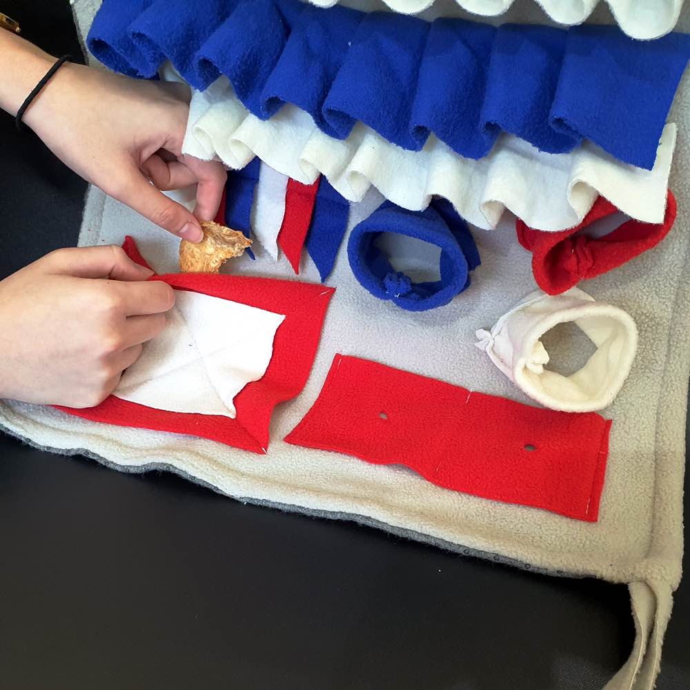 Underdog Gift Box - Kohepets