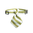 Pidan Necktie Cat Collar (Stripes)