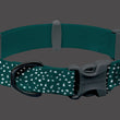 Ruffwear Confluence Reflective Waterproof Dog Collar (Aurora Teal) - Kohepets