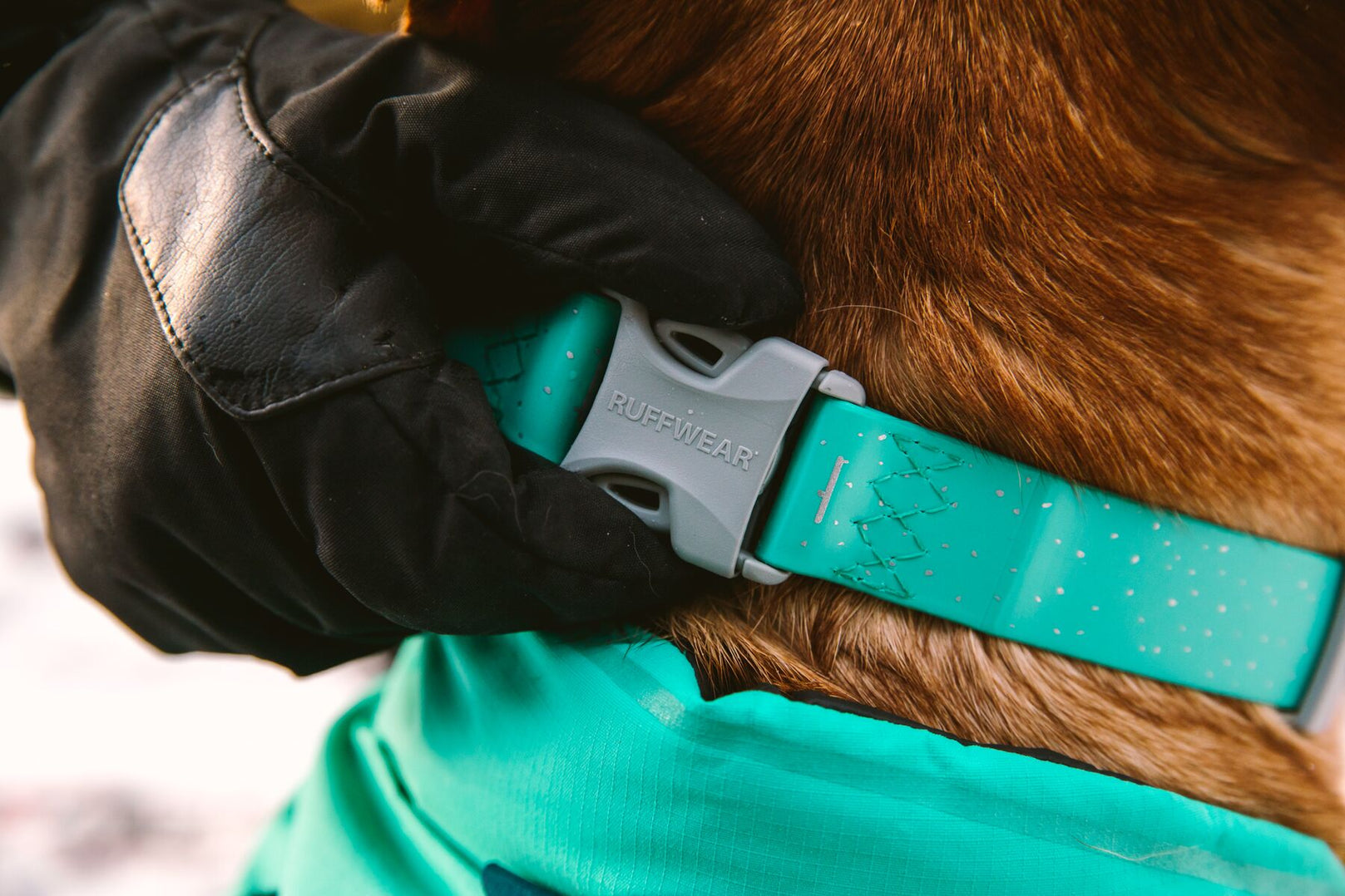 Ruffwear Confluence Reflective Waterproof Dog Collar (Aurora Teal) - Kohepets
