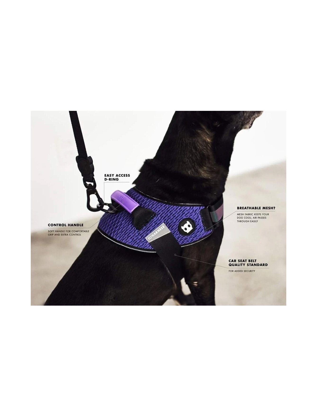 Zee Dog Gotham Fly Harness | Kohepets