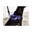 Zee Dog Gotham Fly Harness - Kohepets