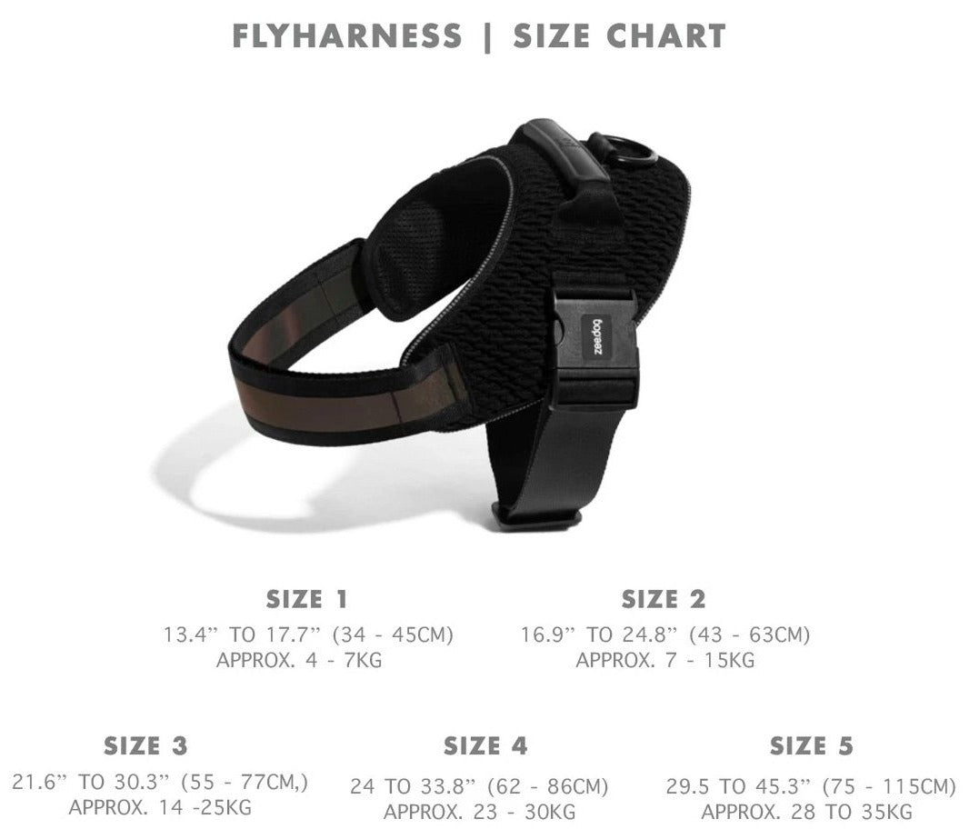 Zee Dog Gotham Fly Harness - Kohepets